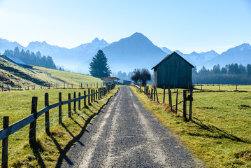 Fototapeta na wymiar Trekking path surrounded by the Alps