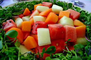 Melon Salad
