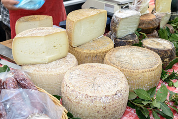 Pecorino cheese of Sardinia / Pecorino cheese typical processing of Sardinia exposed for sale.