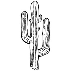 simple black and white cactus
