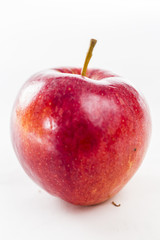 Closeup of Fresh Fruit in Bright Studio
