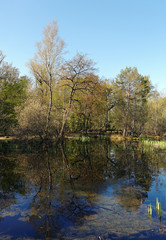 Fototapeta na wymiar Forêt de Fontainebleau,mare aux fées 