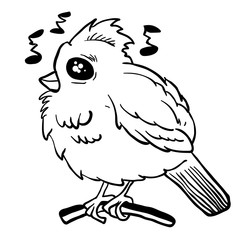 simple black and white funny looking bird