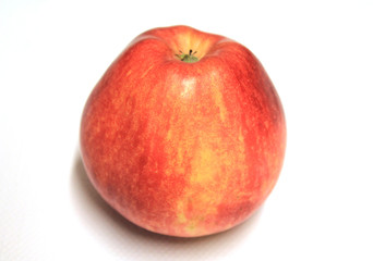 pomme gala