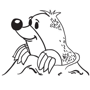 simple black and white mole