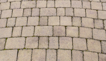 Textured background of brick floor