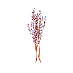 Obraz na płótnie Canvas watercolor willow branches