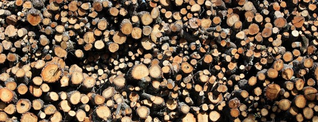 Fagots de bois de chauffage