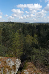 Le Restant du Long Rocher, forêt de Fontainebleau