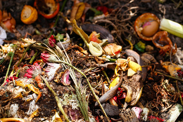 Organic biological kitchen waste