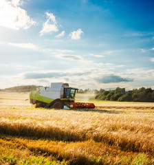 Fototapeta na wymiar Combine Harvester on a Wheat Field. Agriculture.