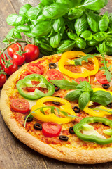 Tasty pizza with paprika