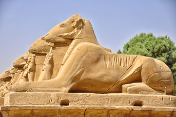 Many Egyptian sculptures in row