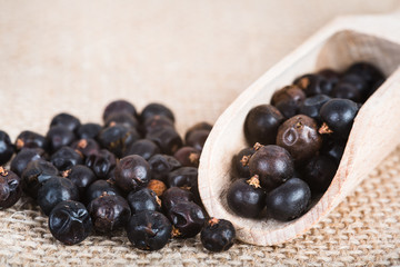 Wooden scoop with dried juniper berries