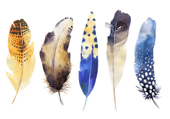 Hand drawn watercolor feather set. Boho style. illustration isol © kris_art