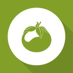 Vegetable design over white background, vector illustration