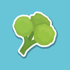 Vegetable design over white background, vector illustration