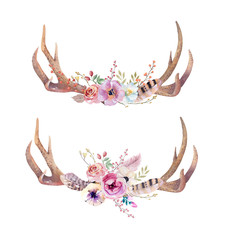 Obraz premium Watercolor bohemian deer horns. Western mammals. Watercolour hip