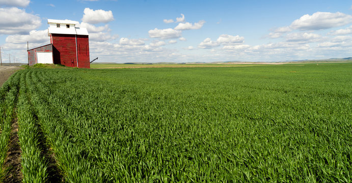 Red Grain Elevator Blue Skies Agriculture Green Crops Field