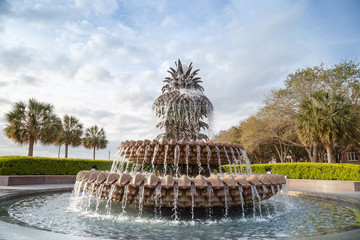 Fototapeta premium Fontanna ananasowa w Waterfront Park, Charleston, Karolina Południowa