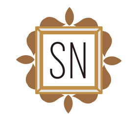 SN Initial Logo for your startup venture