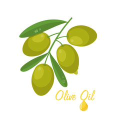 olive oil 