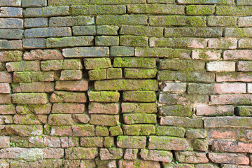 Brick wall
