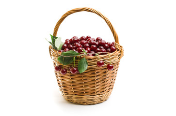 Fototapeta na wymiar Basket full of fresh red cherry on a white background