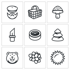 Vector Set of Gathering in the Forest Icons. Mushroomer, Basket, Mushroom, Tool, Orientation, Forest, Predator, Fruit, Weather.