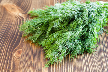 fennel on a table, selective focus
