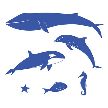 Sea animals. Set blue ocean animals. Marine mammals and fish. Vector set of marine animals.