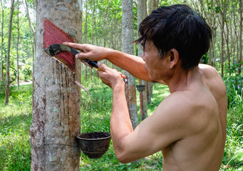 countryside life style - raw rubber gardener
