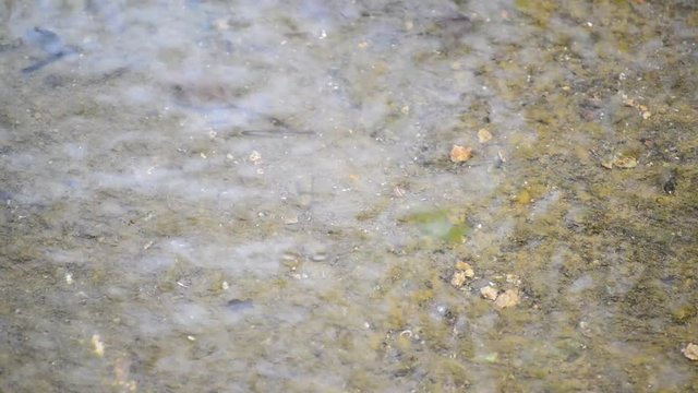 Water flows in shallow water