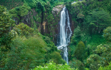 Devon waterfall in Nuwara-eliya, Sri Lanka
