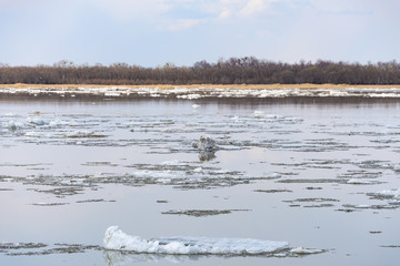 Floating of ice break . 
Floating of ice on the Amur River.