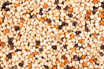 seed mixture background. Pet food for birds