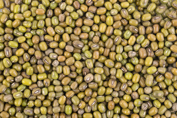 Pile of mung beans isolated on white