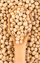 soy beans on white background