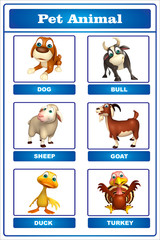 pet animal chart