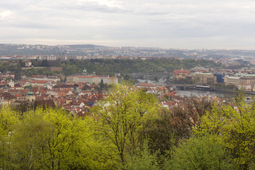 Fototapeta na wymiar View on the spring Prague City with green Nature and flowering Trees, Czech Republic