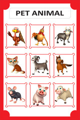 pet animal chart