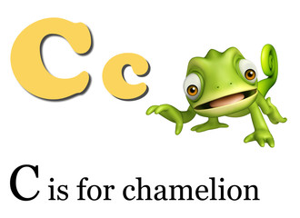 Chamelion wild animal with alphabate