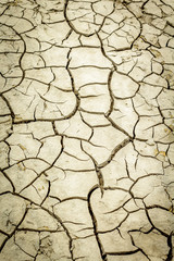 the effect of global warming