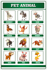Fototapeta premium pet animal chart
