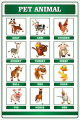 pet animal chart