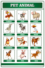 Obraz premium pet animal chart