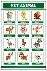 pet animal chart