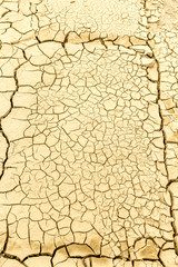 the effect of global warming