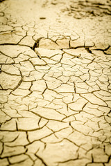 the effect of global warming