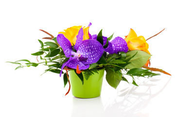 Naklejka premium colorful floral bouquet of orchids in vase, on white background